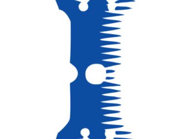Kalasag System
